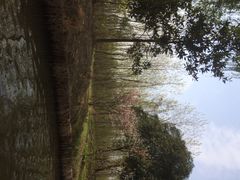 iphone_upload_pic-溱湖国家湿地公园