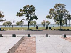 -漕湖湿地公园