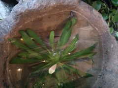 -西关84·History·Art·Cafe