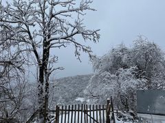 -武陵山森林公园
