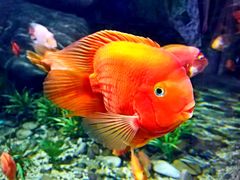 -福州罗源湾海洋世界旅游区