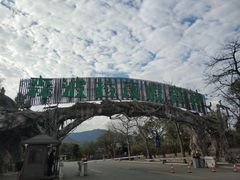 -佛冈森波拉度假区