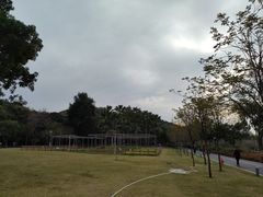 -野狸岛