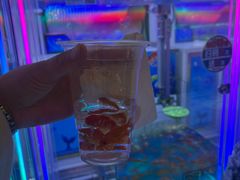 -汤姆熊欢乐世界(大连恒隆广场店)