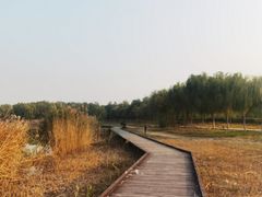 -西青郊野公园