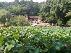 -韶山毛泽东同志故居