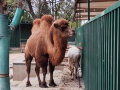 -海合安武汉极地海洋公园