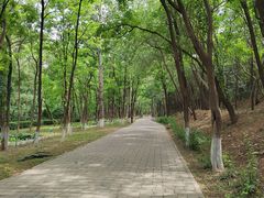 -云岗森林公园