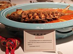 -阿五黄河大鲤鱼(纬三路店)