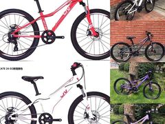 -GIANT捷安特自行车专卖店(金桥台儿庄路店)