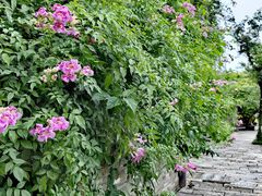 -赤坎·广东华侨国际旅游度假区