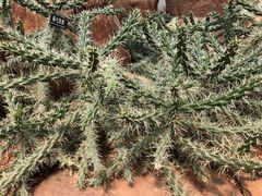 -南通洲际绿博园