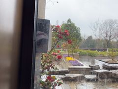 -太湖饭店玉兰厅(自助餐厅)