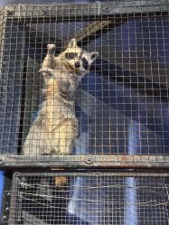 -酷嗒动物文化乐园(cutezoo西溪乐天城店)