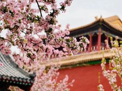 -故宫博物院(故宫)