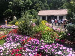 -庐山风景区花径公园