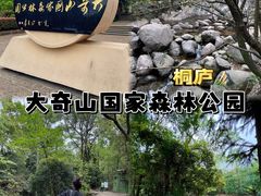 -大奇山国家森林公园