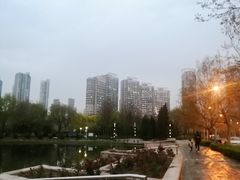 -泰丰公园