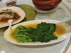 -广信传说