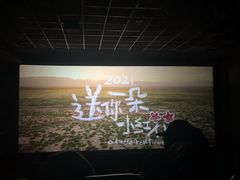 -华美国际影城(旧宫永辉店)