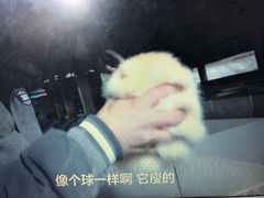 -袁亮宏饺子云吞(侯家桥菜场店)