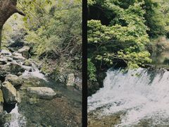 -宁波五龙潭景区