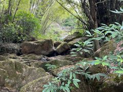 -大雁山风景区