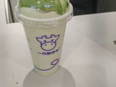 -一只酸奶牛(曲江龙湖星悦荟店)