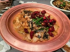 -柿合缘新京菜(国金中心商场店)