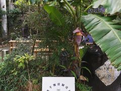 -Metal hands·铁手咖啡