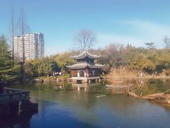 -水绘园