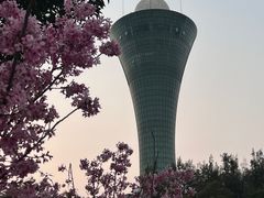 -狐尾山公园