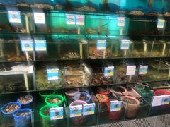 -琼大师东方烤乳猪(亚特兰蒂斯店)