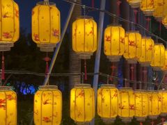 -光明农场大观园