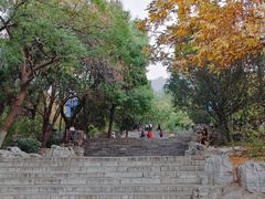 -千佛山风景名胜区