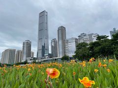 -深圳人才公园