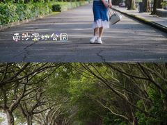 -大湾区中央湿地公园