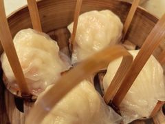 -金鼎轩(方庄天坛店)