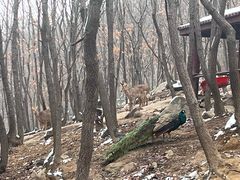 -方城县七峰山生态旅游区