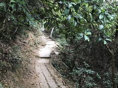 -火炉山森林公园