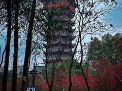 -塔子山公园
