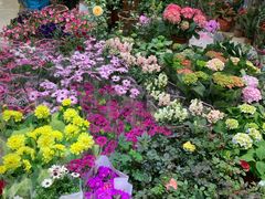 -双季花艺园艺市场(浦东店)