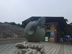 -广东惠东海龟国家级自然保护区