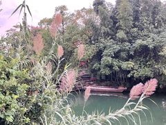 -乌镇景区