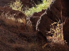 -天山神秘大峡谷