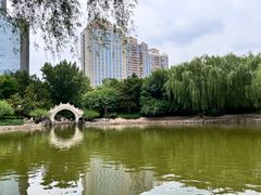 -团结湖公园