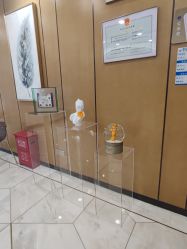 -智美品质医美