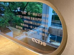 -Echo回声黑胶唱片咖啡馆