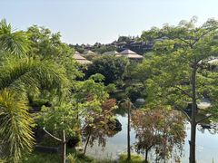 -广州从化都喜泰丽度假酒店温泉