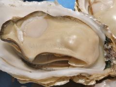 -千岛蚝高压锅生蚝·人参火锅(白云万达店)